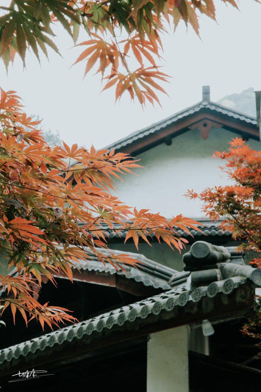 沪江开心词场
