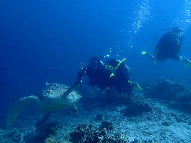 失忆的流浪者